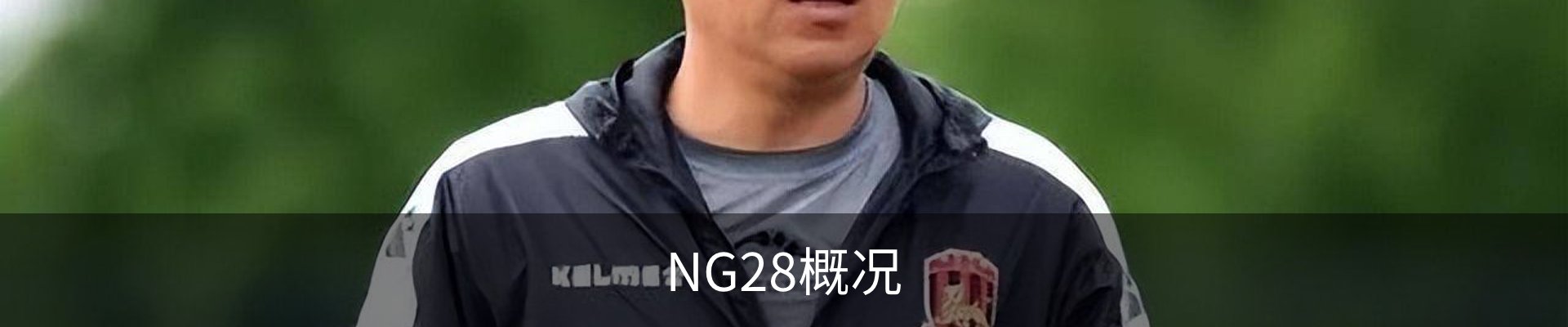 NG28概况